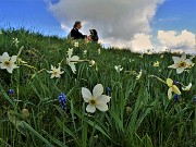 In Linzone spettacolo di narcisi e muscari con capre orobiche – 10magg22-FOTOGALLERY